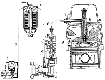 Click for larger view of Plate 13